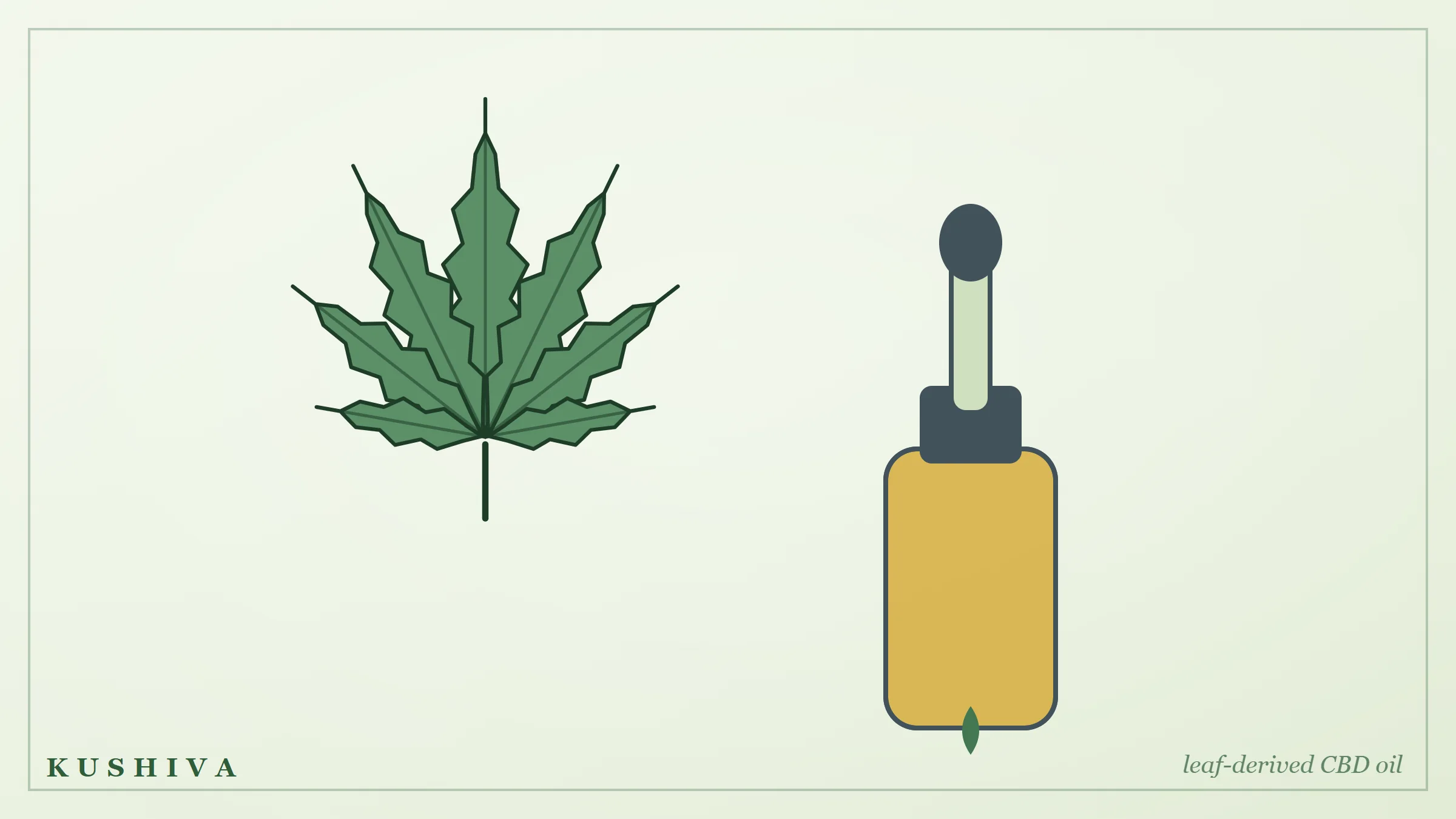 A CBD and Vijaya oil dropper beside a cannabis leaf, representing lab-tested leaf-derived oil