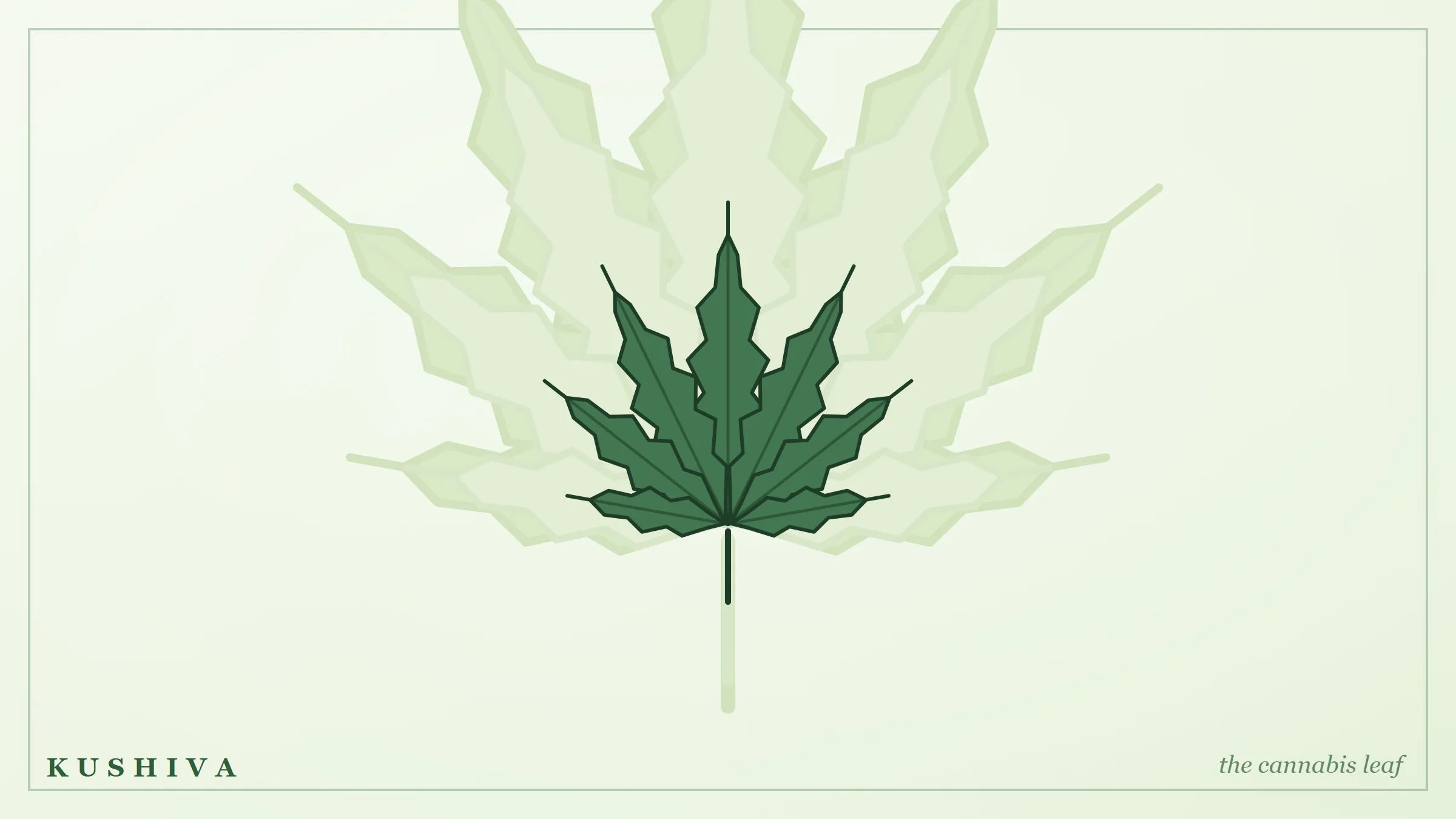 Cannabis leaf, the part used to make bhang, versus the flowering tops used for ganja