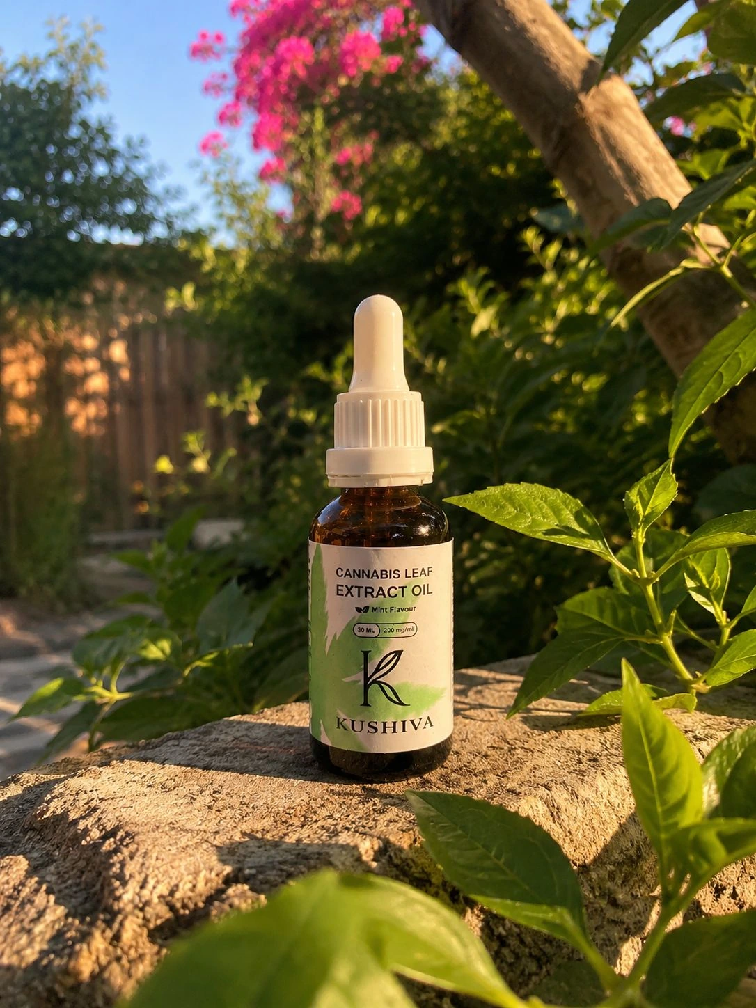 kushiva cannabis leaf extract oil 30ml mint garden bottle lifestyle 05
