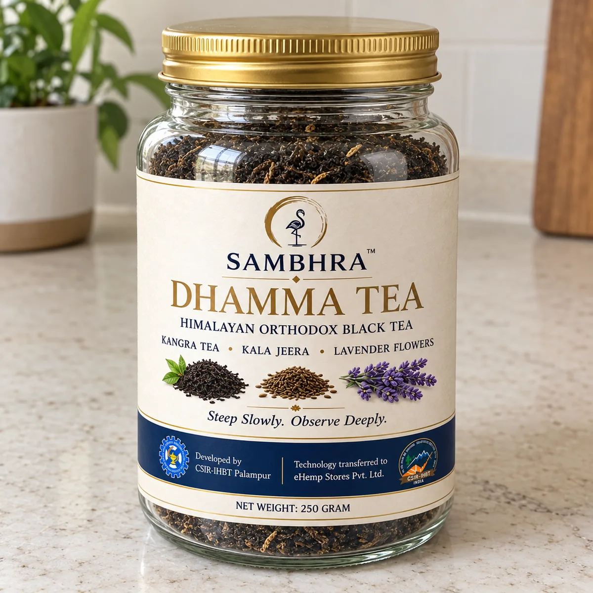 Sambhra Dhamma Tea 250 g glass jar at three quarter angle, gold screw lid and cream label on a kitchen counter