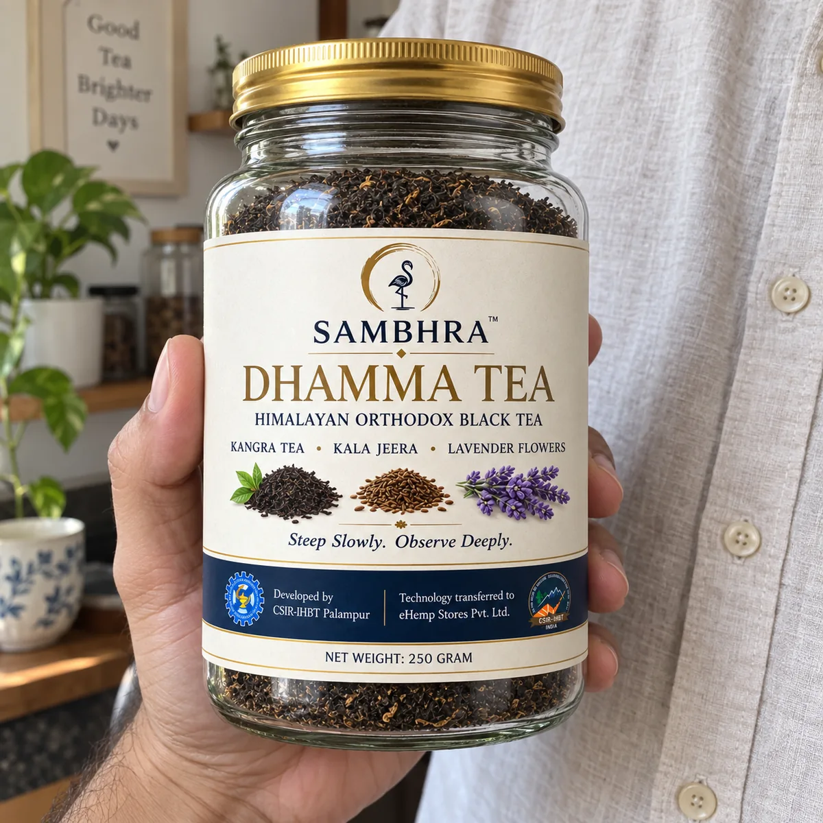 Adult hand holding the 250 g Dhamma Tea jar, showing its size against a pantry shelf